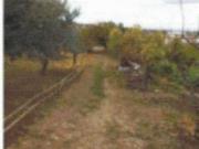 Immobile in asta di 104000 m in vendita a Forlimpopoli