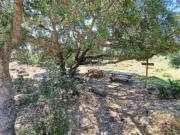 Immobile in asta di 10500 m in vendita a Melilli