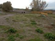 Immobile in asta di 105 m in vendita a Roma