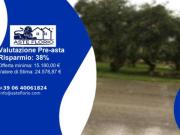 Immobile in asta di 10647 m in vendita a Corato