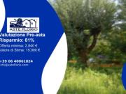 Immobile in asta di 1073 m in vendita a Barga