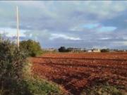 Immobile in asta di 110050 m in vendita a Alessano