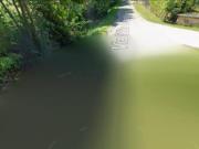 Immobile in asta di 11299 m in vendita a Sossano