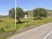Immobile in asta di 1145 m in vendita a Altomonte
