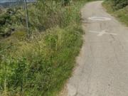 Immobile in asta di 114636 m in vendita a Castelmola