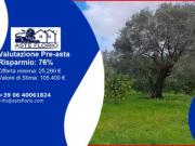 Immobile in asta di 1240 m in vendita a Rizziconi