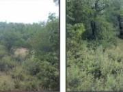 Immobile in asta di 127 m in vendita a Olbia