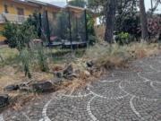 Immobile in asta di 12972 m con più di 5 locali in...