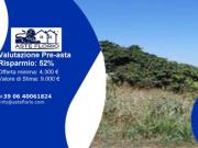 Immobile in asta di 1310 m in vendita a Roncoferraro