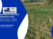 Immobile in asta di 13774 m in vendita a Giulianova