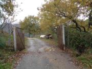 Immobile in asta di 137759 m in vendita a Tortora