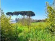 Immobile in asta di 1380 m in vendita a Minturno