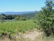 Immobile in asta di 150000 m in vendita a Siena