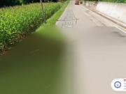 Immobile in asta di 1500 m in vendita a Ragogna