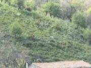 Immobile in asta di 150 m in vendita a Messina