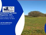 Immobile in asta di 15340 m in vendita a Caltagirone