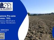 Immobile in asta di 15707 m in vendita a Mondolfo