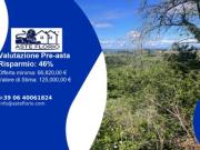 Immobile in asta di 157149 m in vendita a Montespertoli