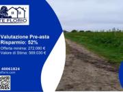 Immobile in asta di 16000 m in vendita a Argenta