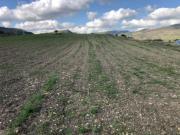 Immobile in asta di 17 m in vendita a Cargeghe