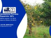 Immobile in asta di 18860 m in vendita a Belpasso