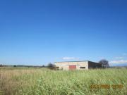 Immobile in asta di 190 m con più di 5 locali in vendita...