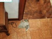 Immobile in asta di 192 m in vendita a Viterbo