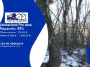 Immobile in asta di 1930 m in vendita a Ponte dell'Olio