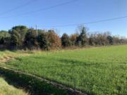 Immobile in asta di 205 m in vendita a Grosseto