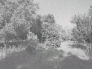 Immobile in asta di 20790 m in vendita a Rizziconi