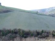 Immobile in asta di 22060 m in vendita a Castrocaro...