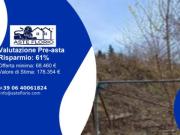 Immobile in asta di 2291 m in vendita a Urbino