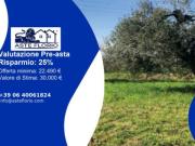 Immobile in asta di 2560 m in vendita a Sant'Elpidio...
