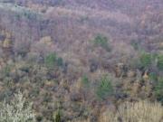 Immobile in asta di 278050 m in vendita a Figline e...