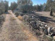 Immobile in asta di 2794 m in vendita a Ruvo di Puglia