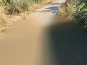 Immobile in asta di 2950 m in vendita a Castelbuono