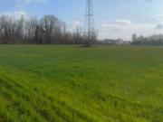 Immobile in asta di 29527 m in vendita a Quarto d'Altino