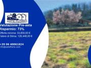 Immobile in asta di 30 m in vendita a Monte di Malo