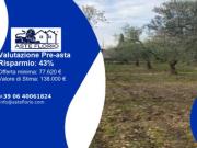 Immobile in asta di 30877 m in vendita a Foggia