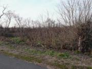 Immobile in asta di 3090 m in vendita a Gazzuolo