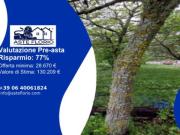 Immobile in asta di 309 m in vendita a Avigliano Immobile in asta di 309 m in vendita a Avigliano