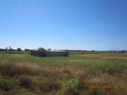 Immobile in asta di 31005 m in vendita a Crotone