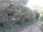 Immobile in asta di 3330 m in vendita a Messina