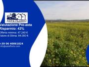 Immobile in asta di 33570 m in vendita a Paceco