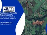 Immobile in asta di 336 m in vendita a Andria