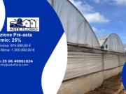 Immobile in asta di 33926 m in vendita a Anzio