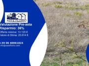 Immobile in asta di 37480 m in vendita a Salemi