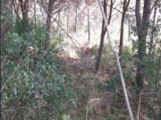 Immobile in asta di 3964 m in vendita a Monte Argentario