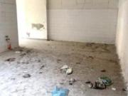 Immobile in asta di 3 m in vendita a Pescara