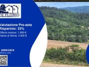 Immobile in asta di 4052 m in vendita a Montesegale